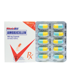 AMOXICILLIN 500MG CAPSULE – RITEMED